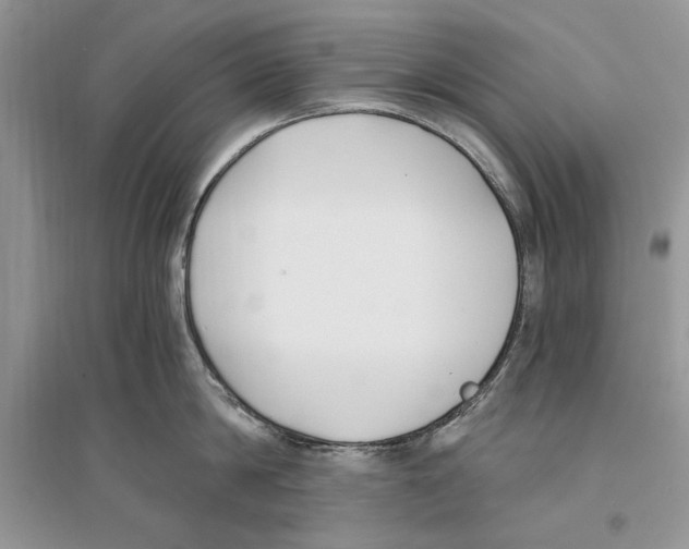 X0000096200814200802151524