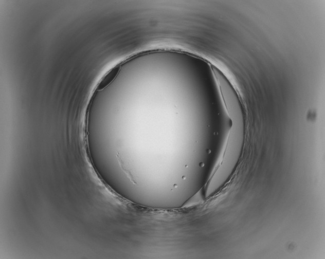 X0000096200815200802151524