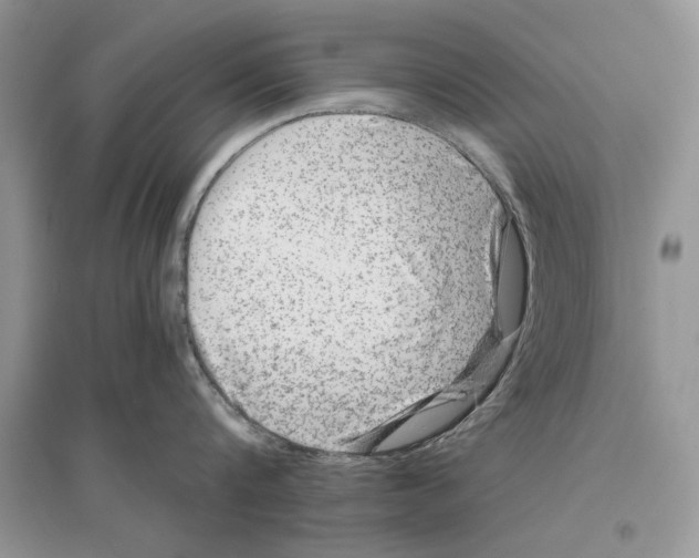 X0000096200816200802151524