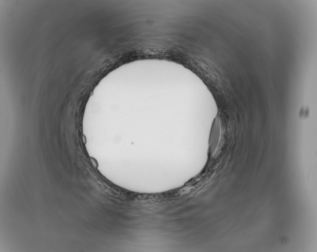 X0000096200817200802151523