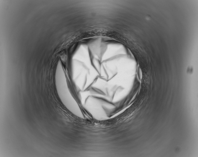 X0000096200818200802151523