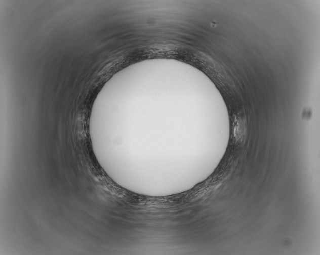 X0000096200819200802151523