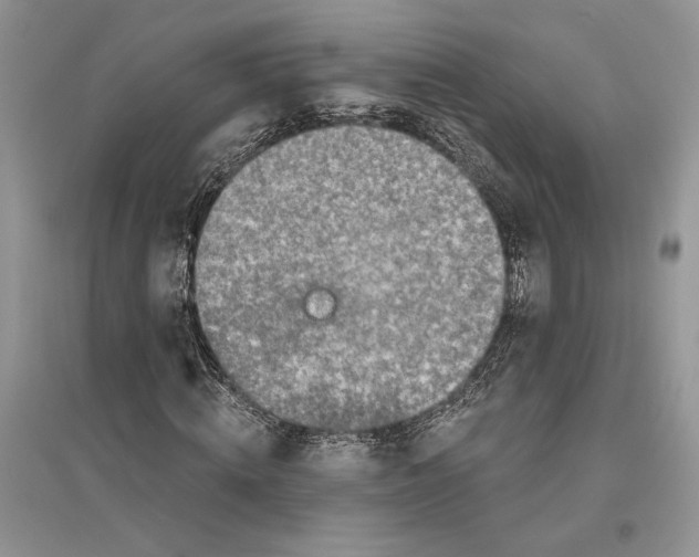 X0000096200820200802151523