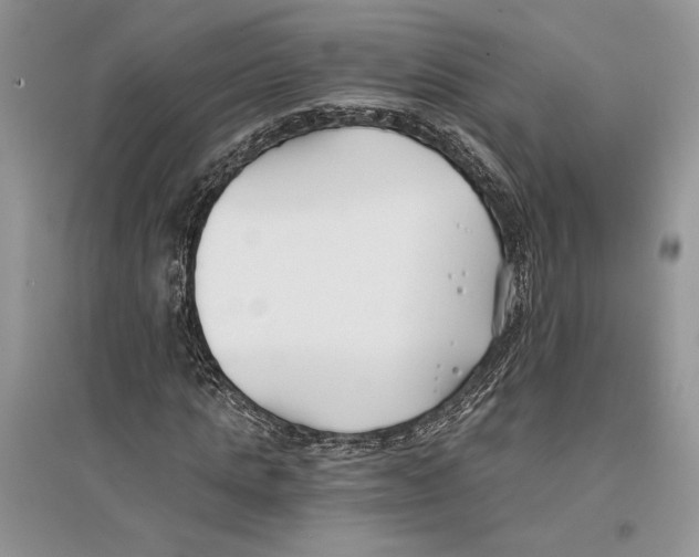 X0000096200821200802151523