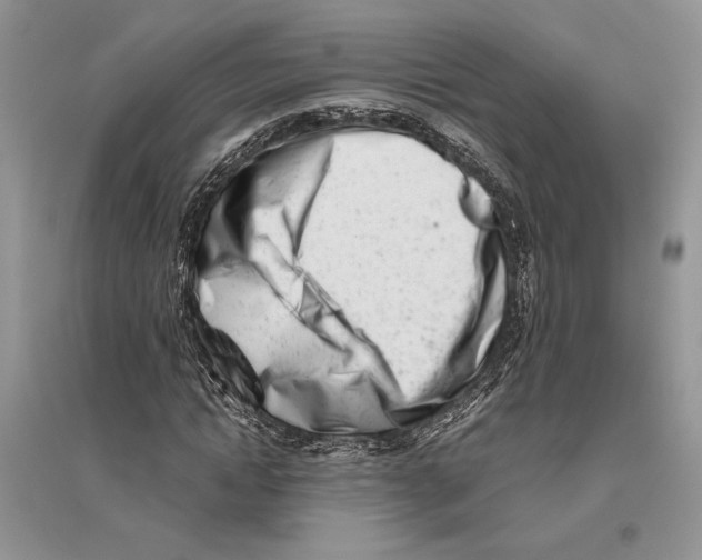 X0000096200822200802151523