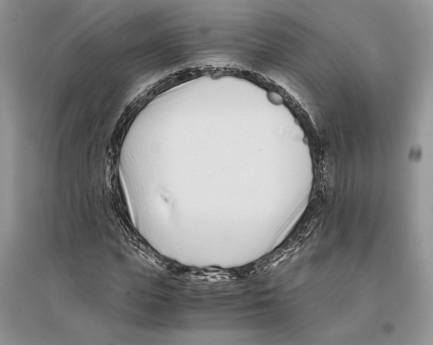 X0000096200823200802151523