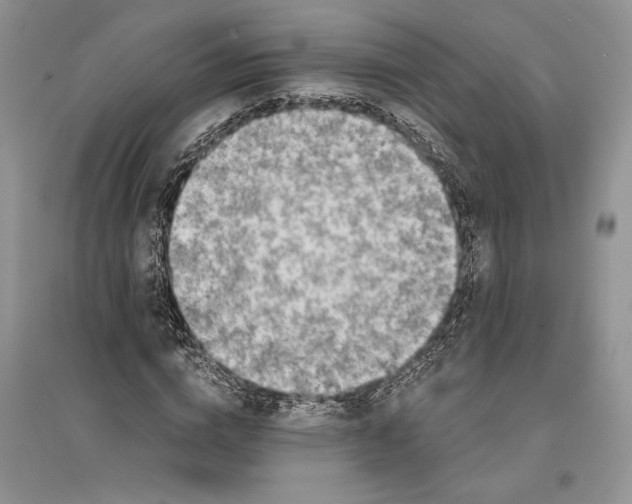 X0000096200824200802151523