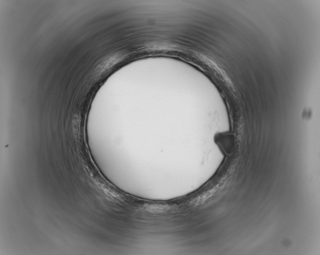 X0000096200825200802151523