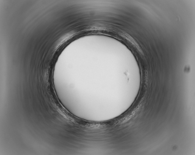 X0000096200826200802151523