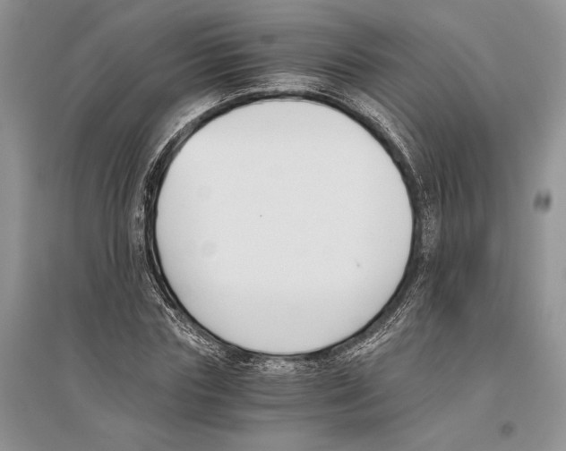 X0000096200827200802151523