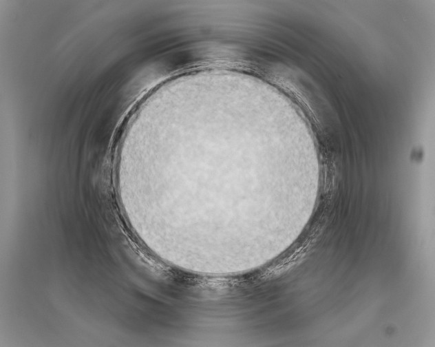 X0000096200828200802151523