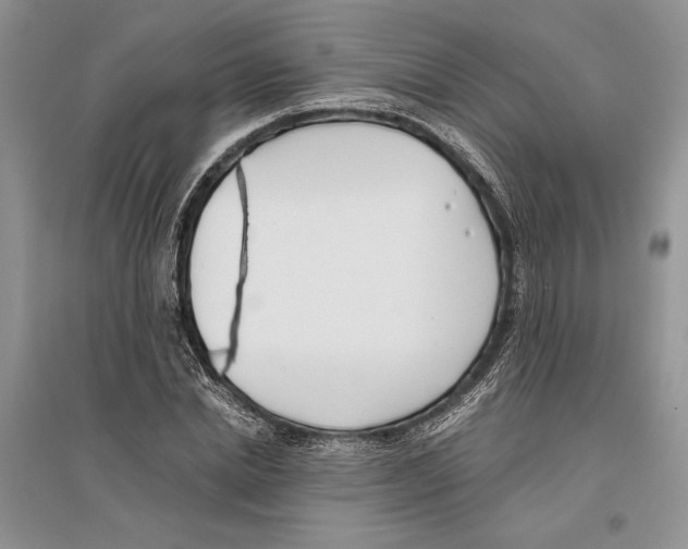 X0000096200830200802151523