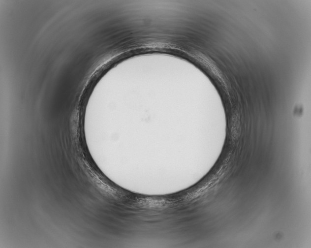 X0000096200831200802151523