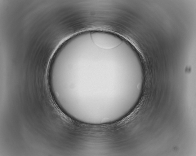 X0000096200832200802151523