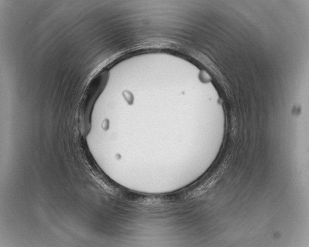 X0000096200834200802151523