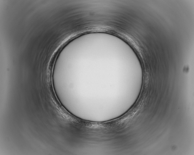 X0000096200835200802151524