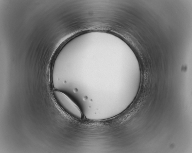 X0000096200838200802151524