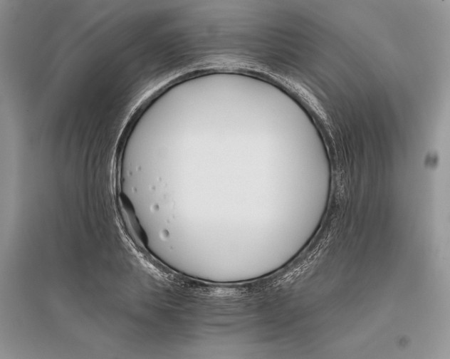 X0000096200839200802151524