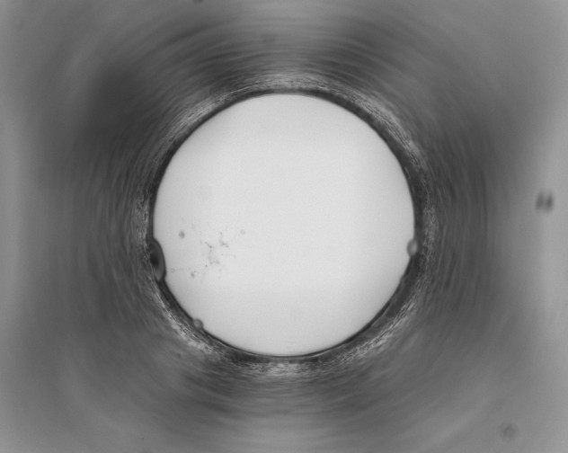 X0000096200841200802151524