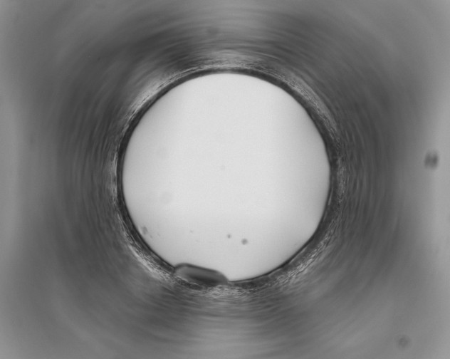 X0000096200842200802151524