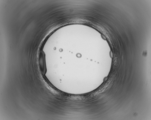 X0000096200843200802151524