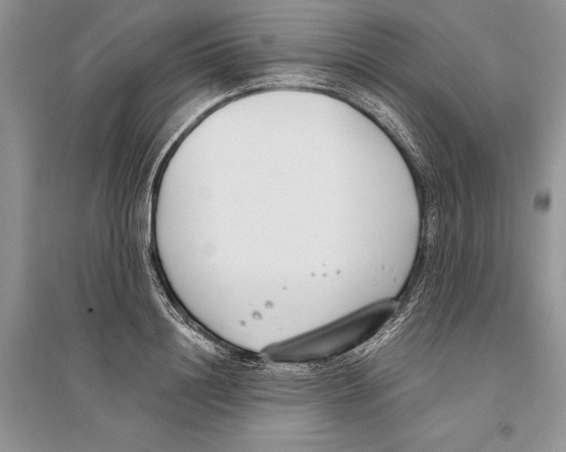 X0000096200844200802151524