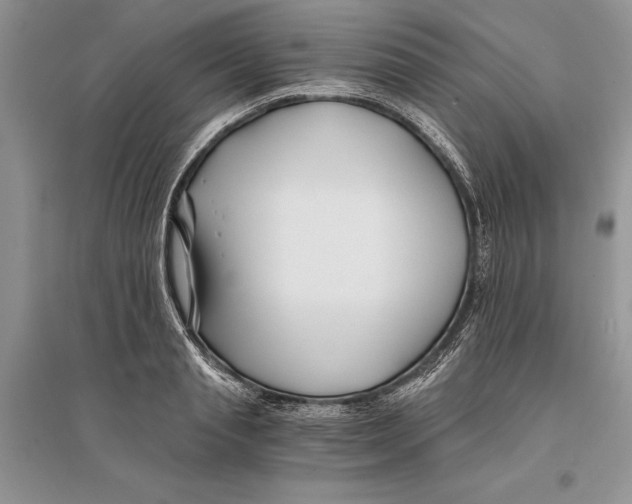 X0000096200845200802151524