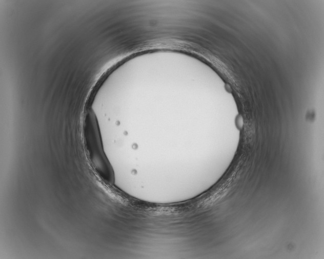 X0000096200846200802151524