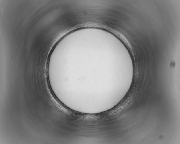 X0000096200847200802151524