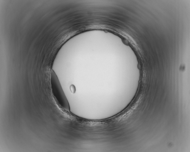 X0000096200849200802151524