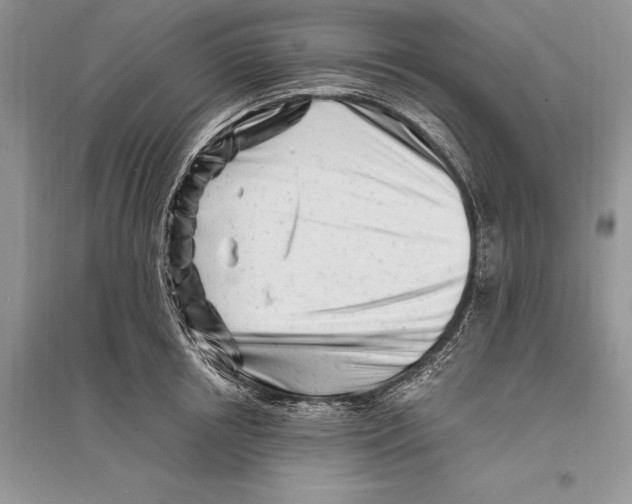 X0000096200850200802151524