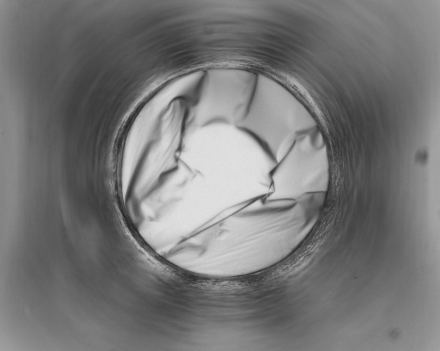 X0000096200851200802151524