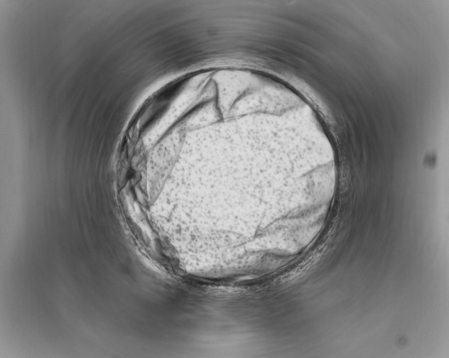 X0000096200854200802151524