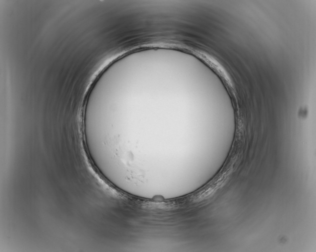 X0000096200855200802151524