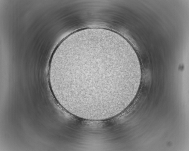 X0000096200856200802151524