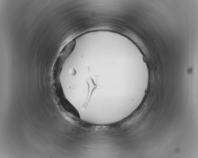 X0000096200858200802151524