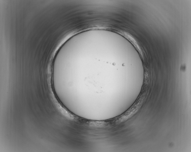 X0000096200859200802151524