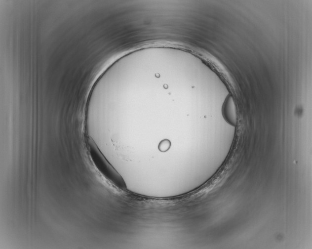 X0000096200860200802151524