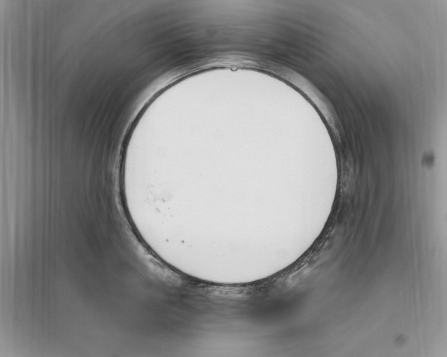 X0000096200861200802151524