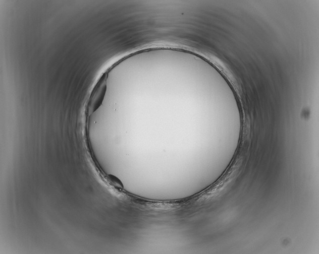 X0000096200862200802151524