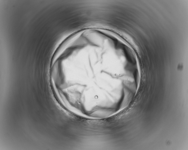 X0000096200863200802151524