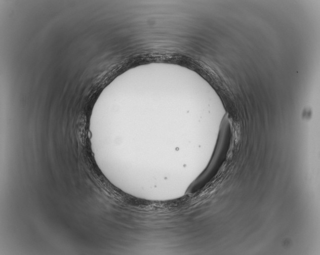 X0000096200867200802151523