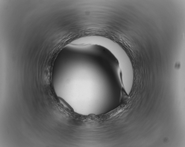 X0000096200868200802151523