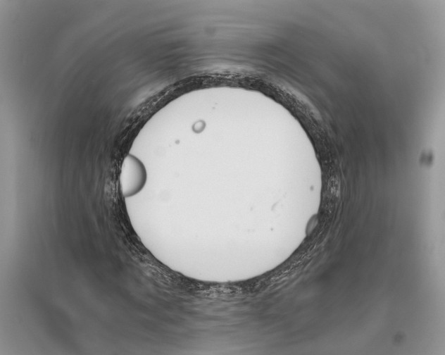 X0000096200869200802151523