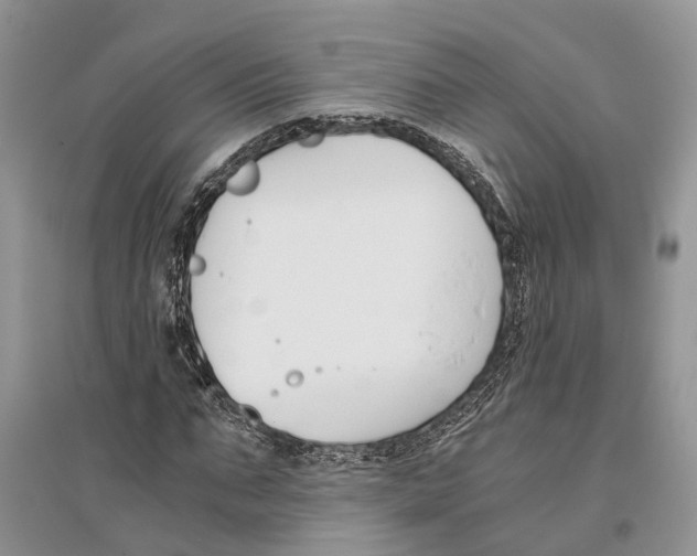 X0000096200871200802151523