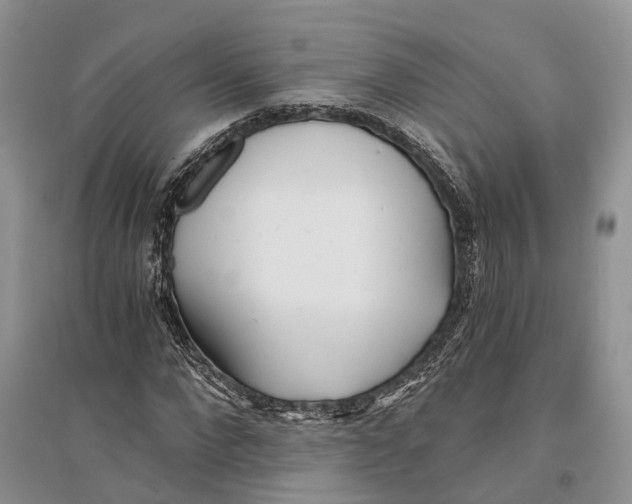 X0000096200872200802151523