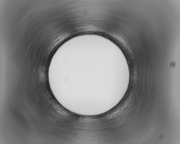 X0000096200873200802151523