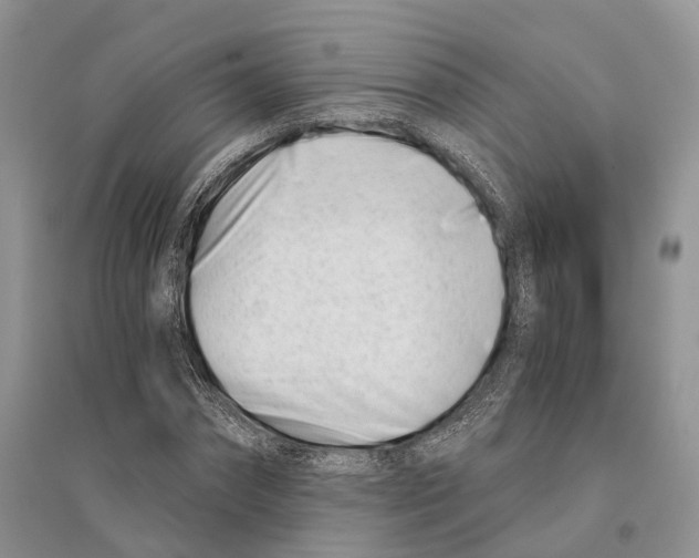 X0000096200874200802151523