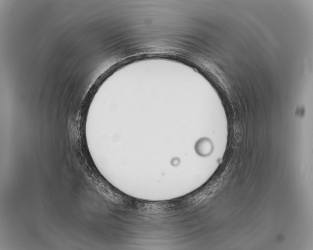 X0000096200875200802151523