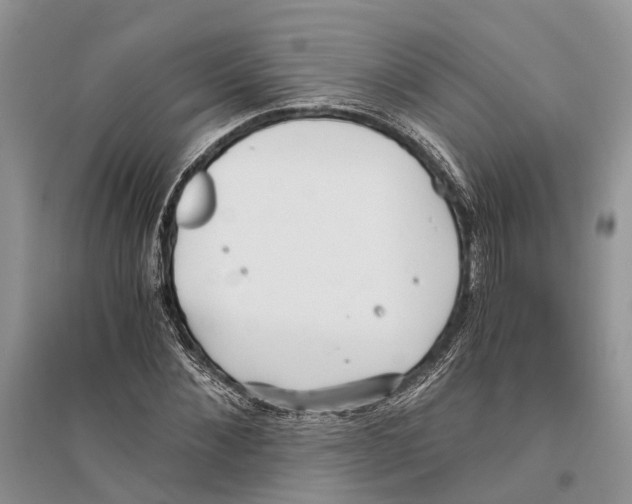 X0000096200876200802151523